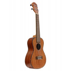 Ukulélé Concert ALABAMA...